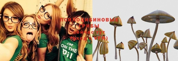 бошки Богданович